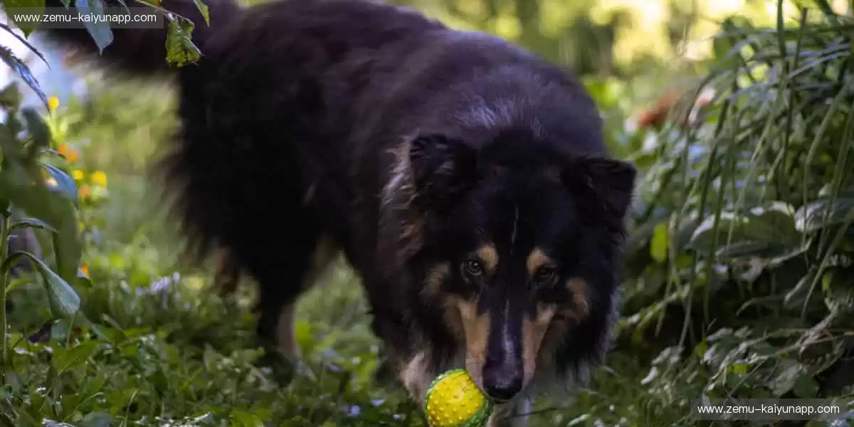 ✨ 突破极限，超越自我！体育精神，由你我共同书写！